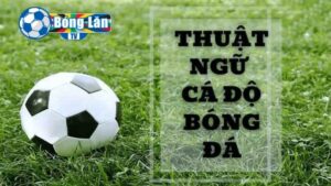 thuật ngữ cá độ bóng đá