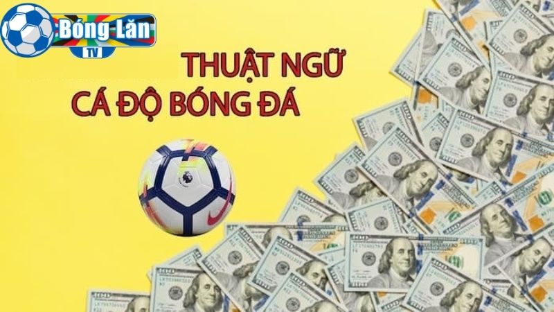 Thuật ngữ cá độ bóng đá dùng trên bảng cá độ trực tuyến