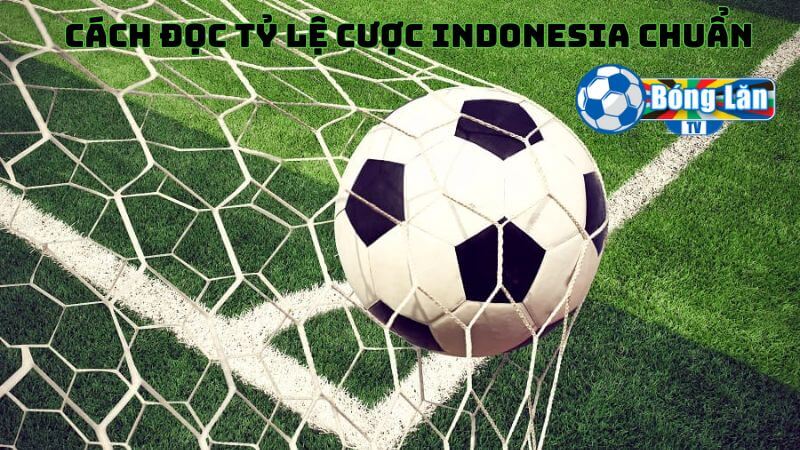 Nắm cách đọc tỷ lệ cược Indonesia chuẩn từ nhà cái